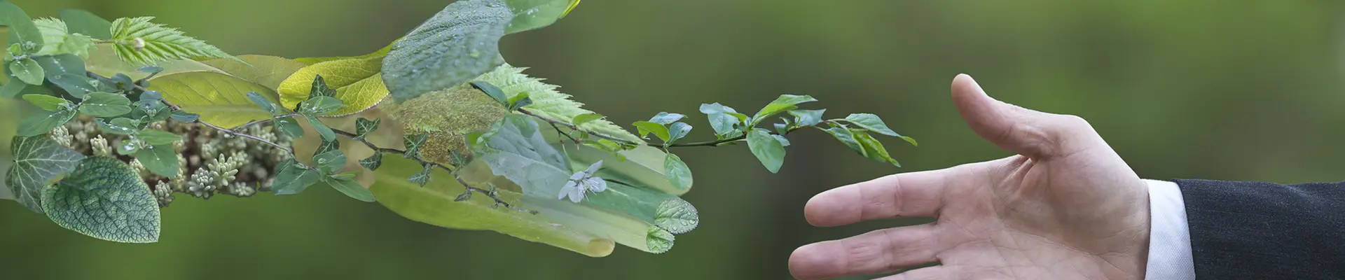 Environmental care