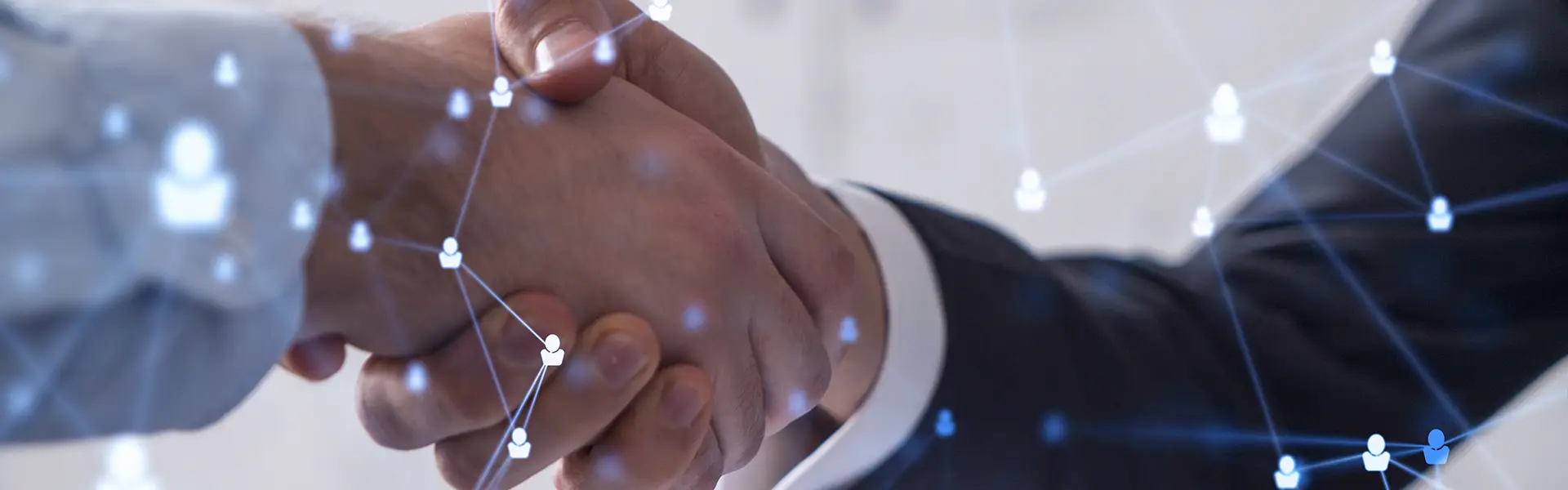 Work with MALECO - Grow with a Leading Company in Innovation